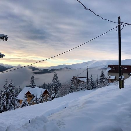 Casa De Vacanta Trei Brazi Ranca Exteriör bild