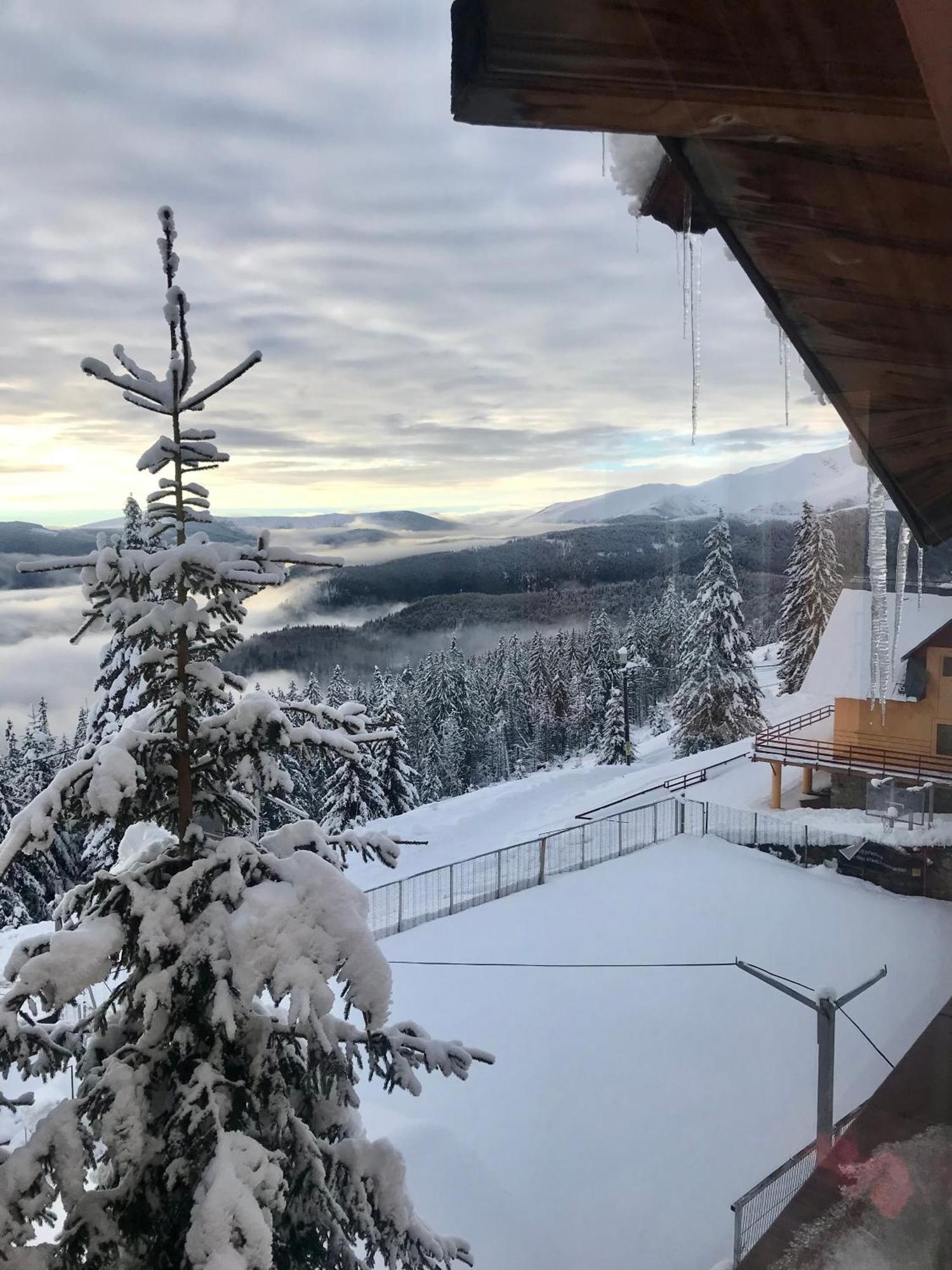 Casa De Vacanta Trei Brazi Ranca Exteriör bild